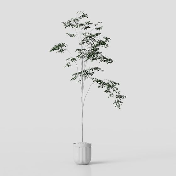 Vibrant Low-Poly 3D Tree Model