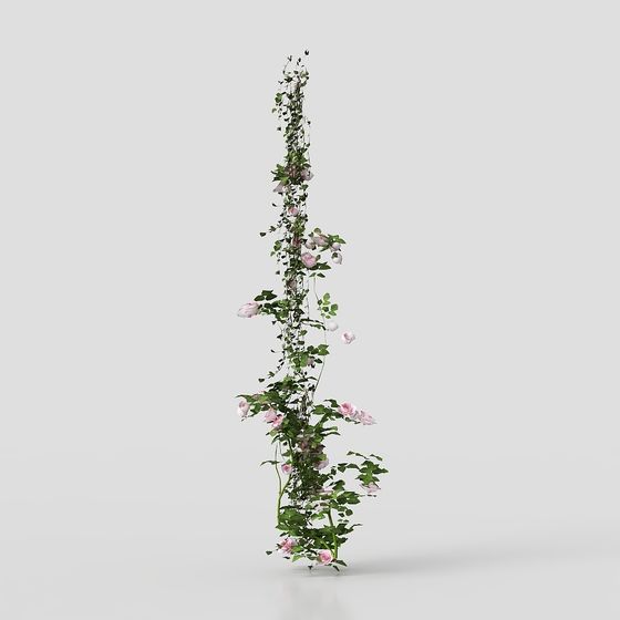 Romantic Rose Vine 3D model for Creative Spaces