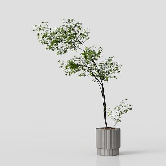 Urban Green Oasis 3D Model - Low Polygon Design