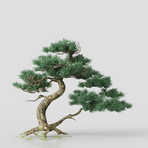 Elegant Pine Tree 3D Model for Nature Scenes
