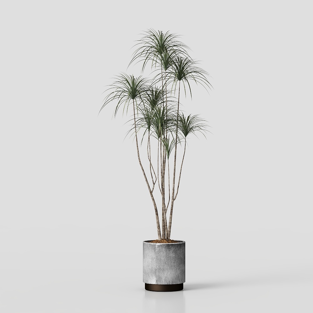 Balcony greenery plant