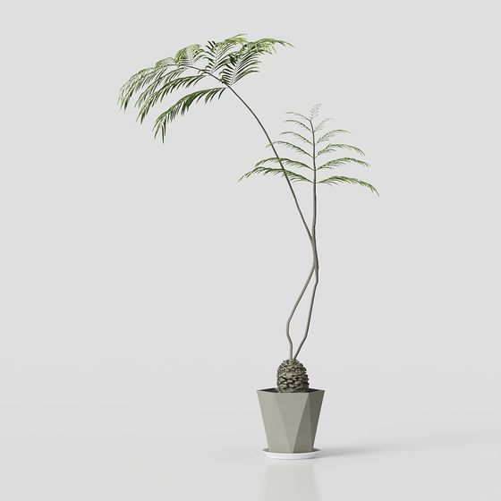 Stylish Low-Poly Indoor Palm Tree 3D model