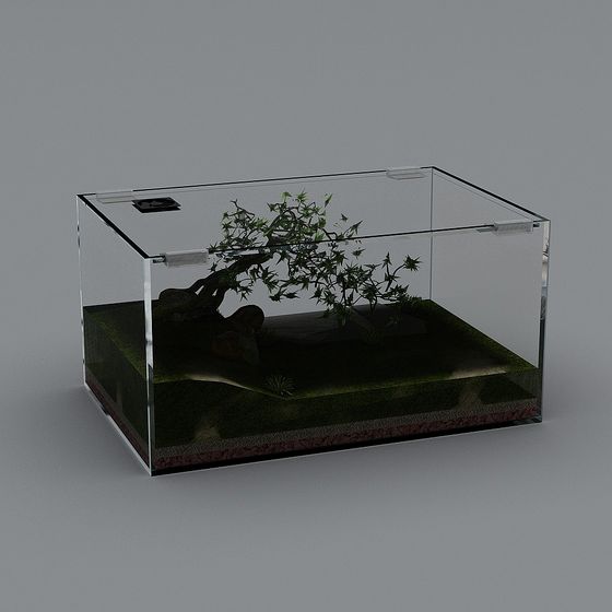 Glass Aquarium Landscape 3D model