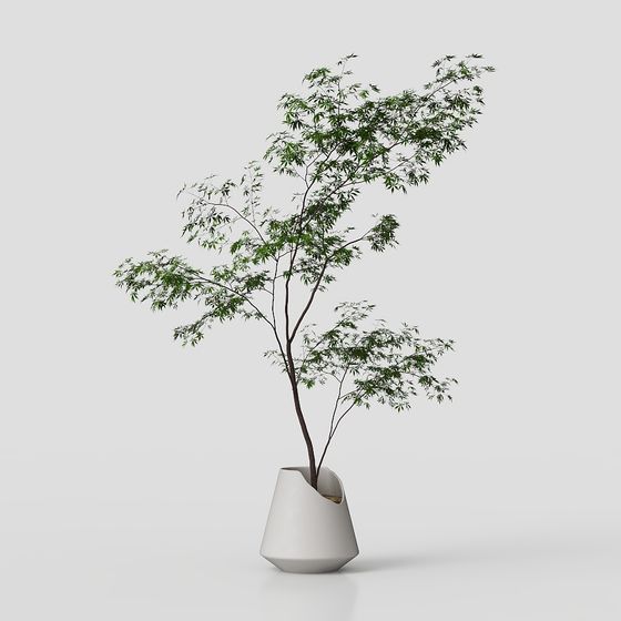 Bamboo Harmony 3D Model for Modern Design