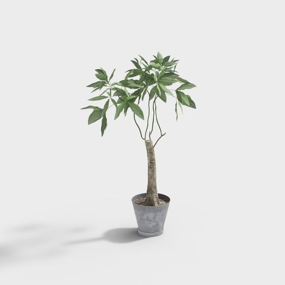 Vibrant Indoor Potted Plant 3D Model