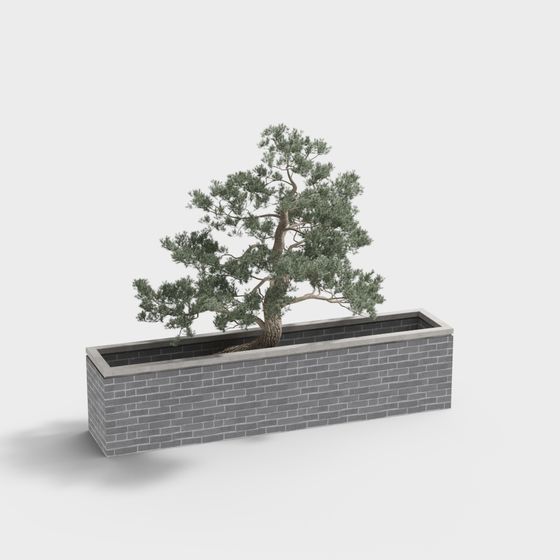 Urban Oasis Bonsai Tree 3D model for Creative Projects