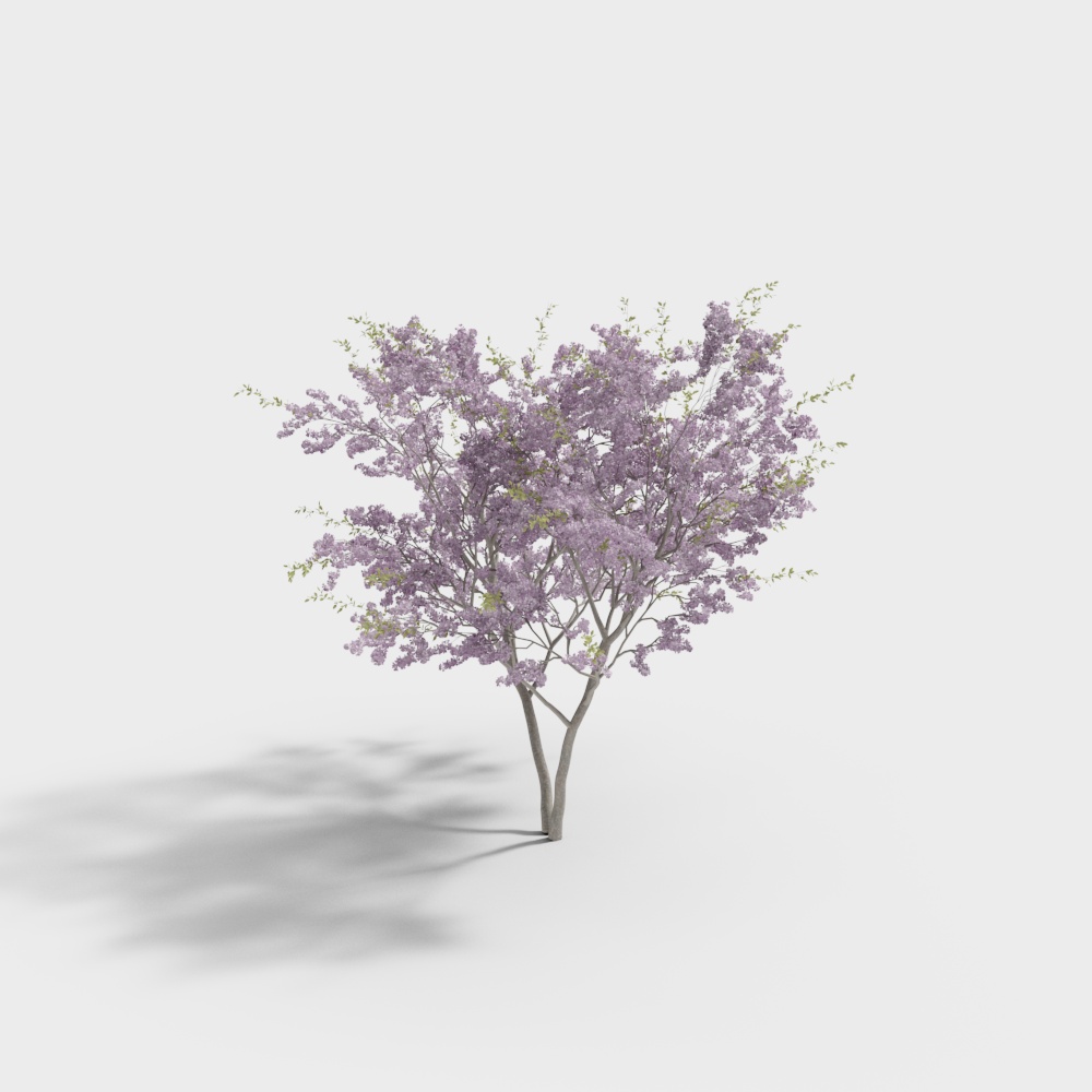 モダンな木-モクレン（開花）