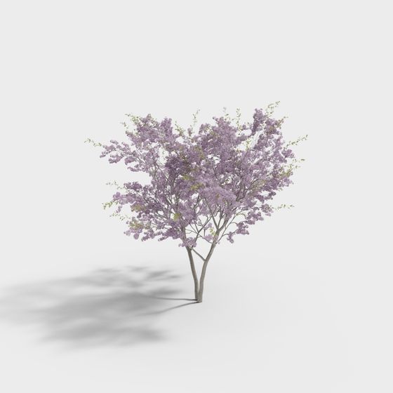 モダンな木-モクレン（開花）