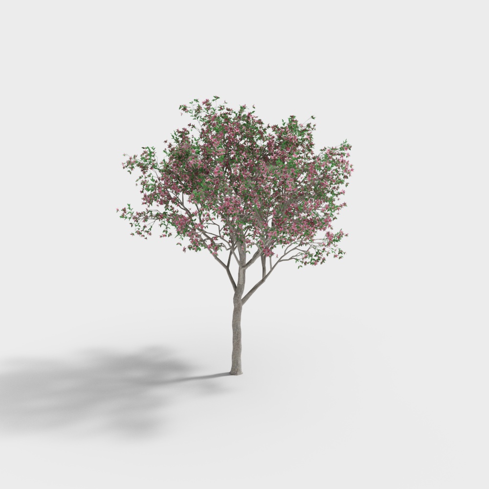 Modern tree-crape myrtle tree 1