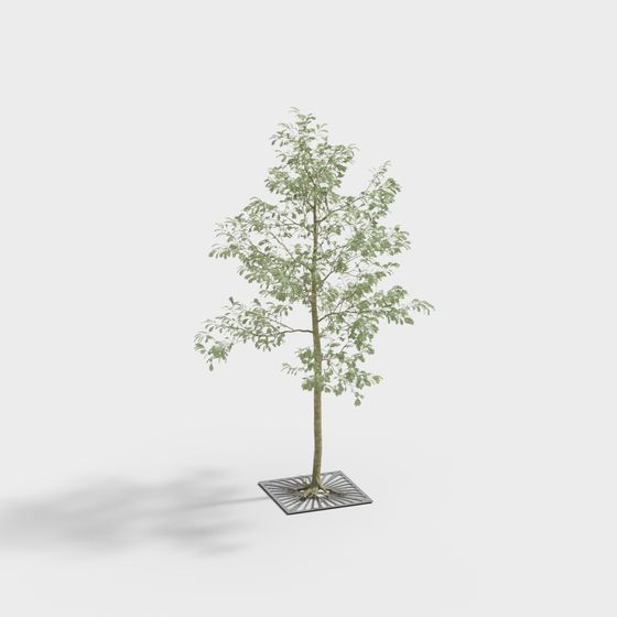 Low Poly Realistic Tree 3D model