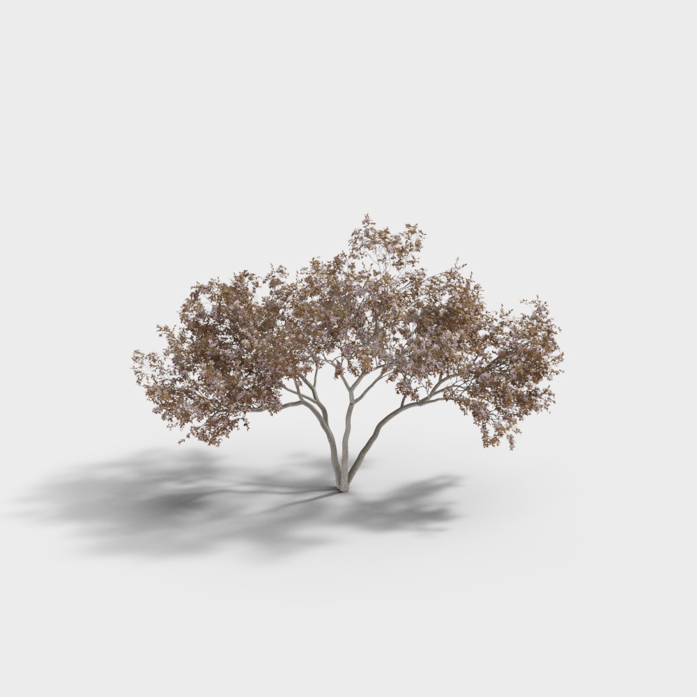 Realistic Low-Poly Oak Tree 3D Model