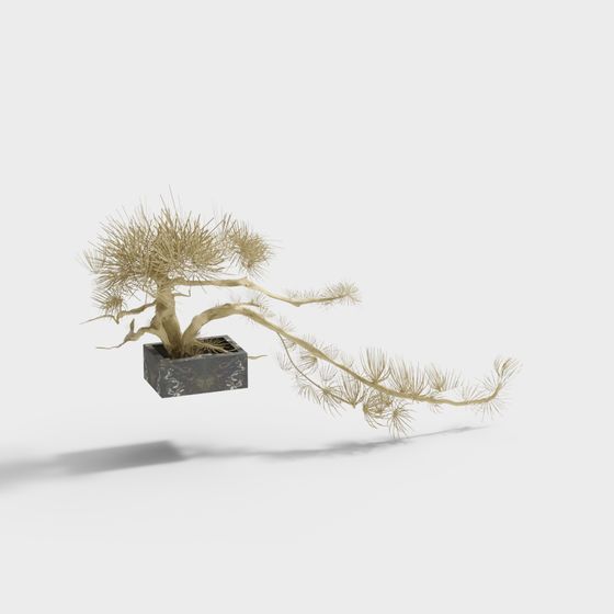 新中式庭園の石組み背景-松の木の幹と枝