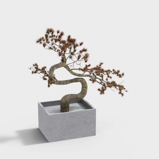 Low-Poly Bonsai Tree 3D Model