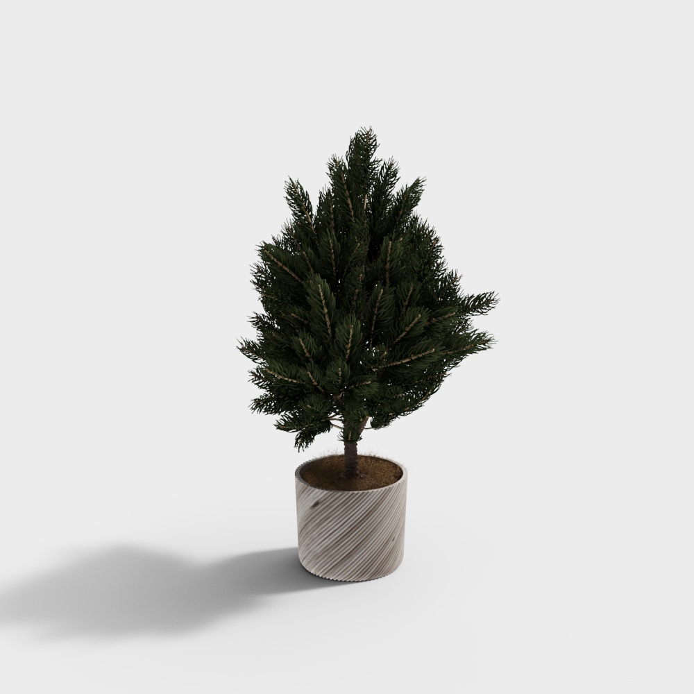 Modern Green Cactus Potted Plants-Small Tree Potted Plants