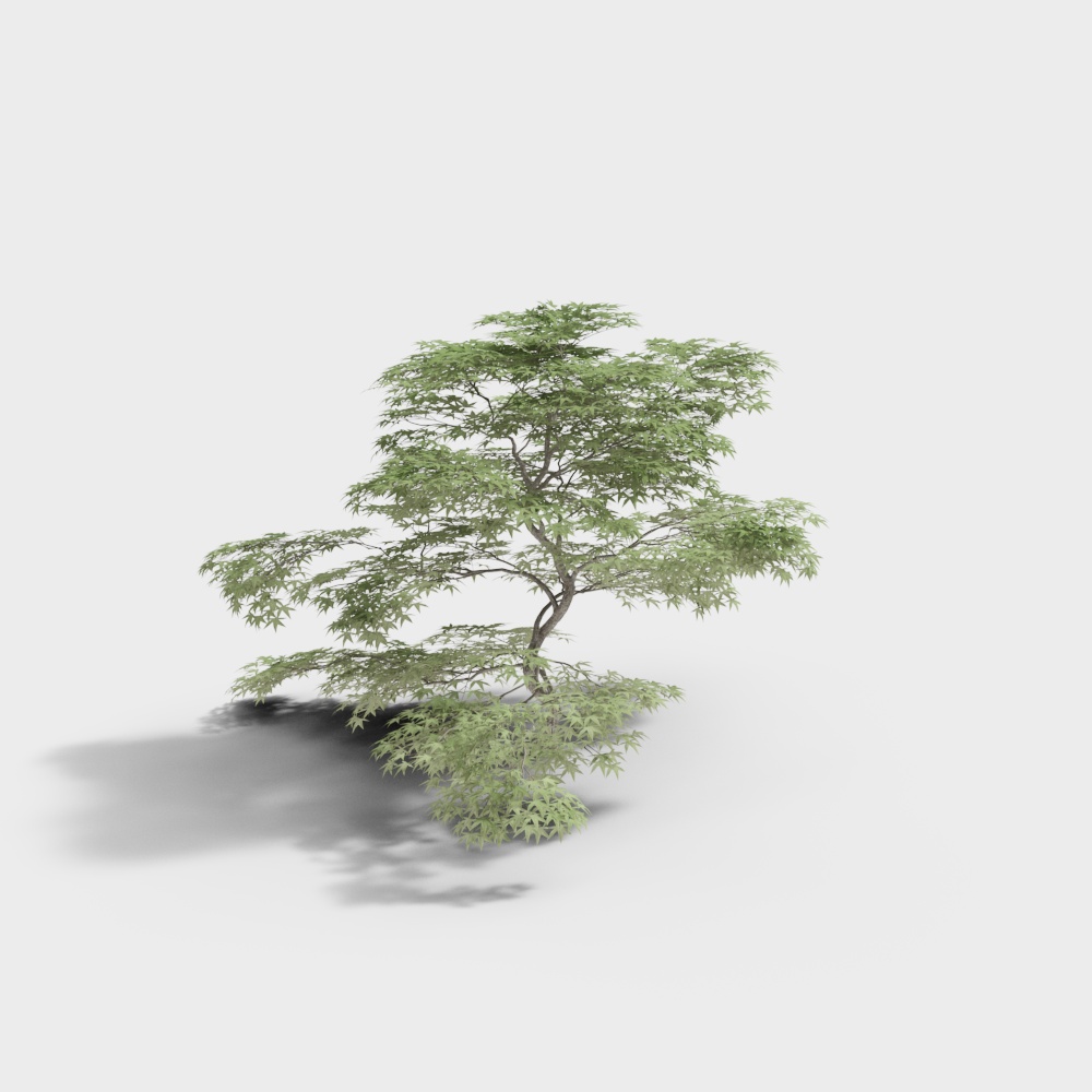 New Chinese style courtyard landscape sketch 2-Pine tree 2
