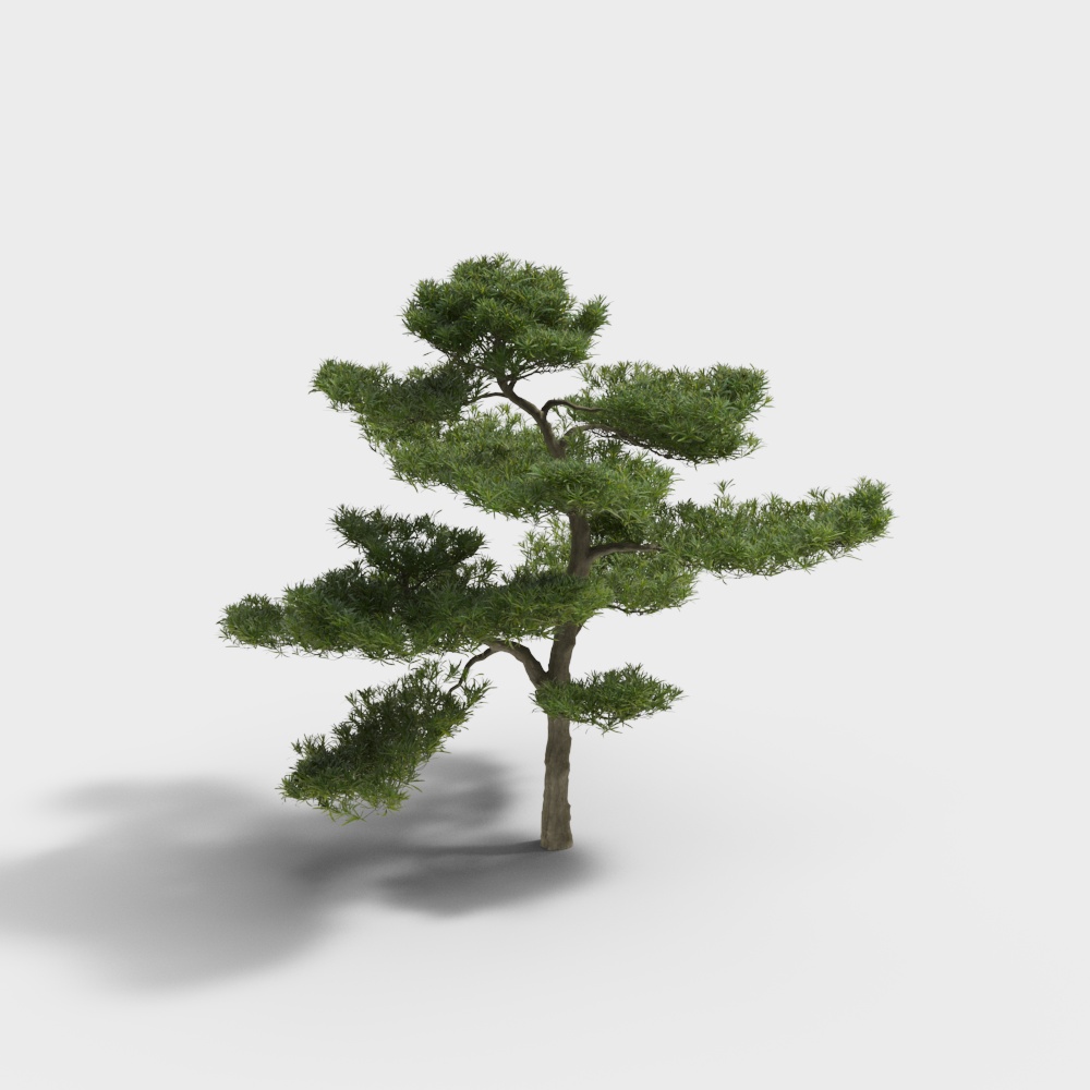 Low-Poly Pine Tree 3D Model for Natural Scenes