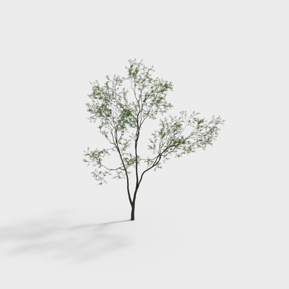 Albero paesaggistico moderno