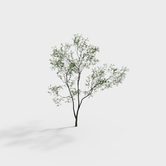 Albero paesaggistico moderno