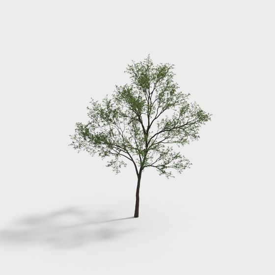 Realistic Low-Poly 3D Tree Model