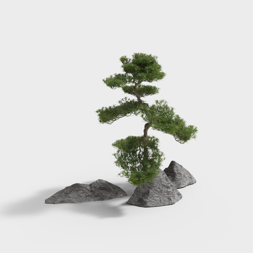 Mountain Pine 3D Model – Low-Poly Natural Tree