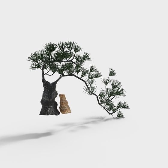Natural Pine Tree and Rock 3D Model
