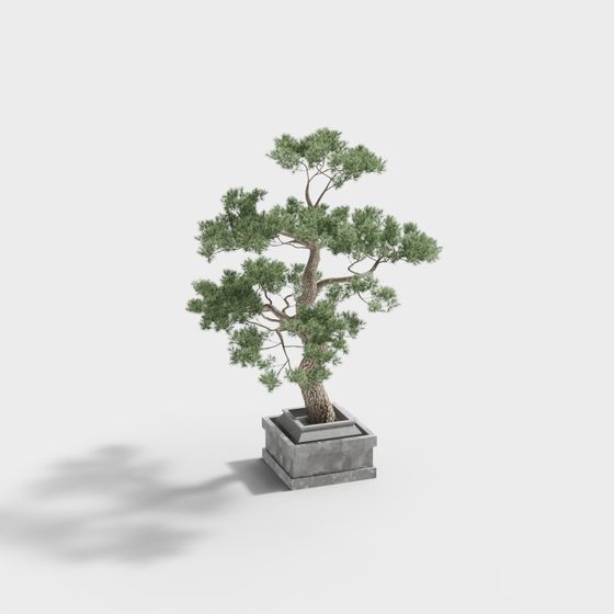 Miniature Pine Tree 3D model for Creative Projects