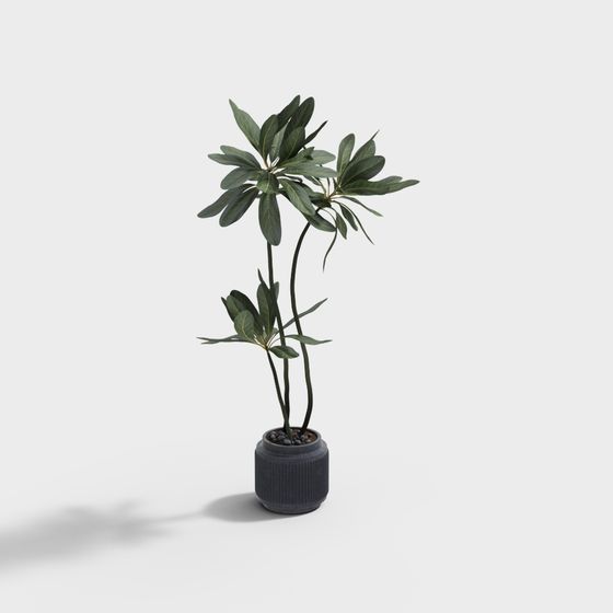 Elegant Low-Poly Plant Pot 3D Model