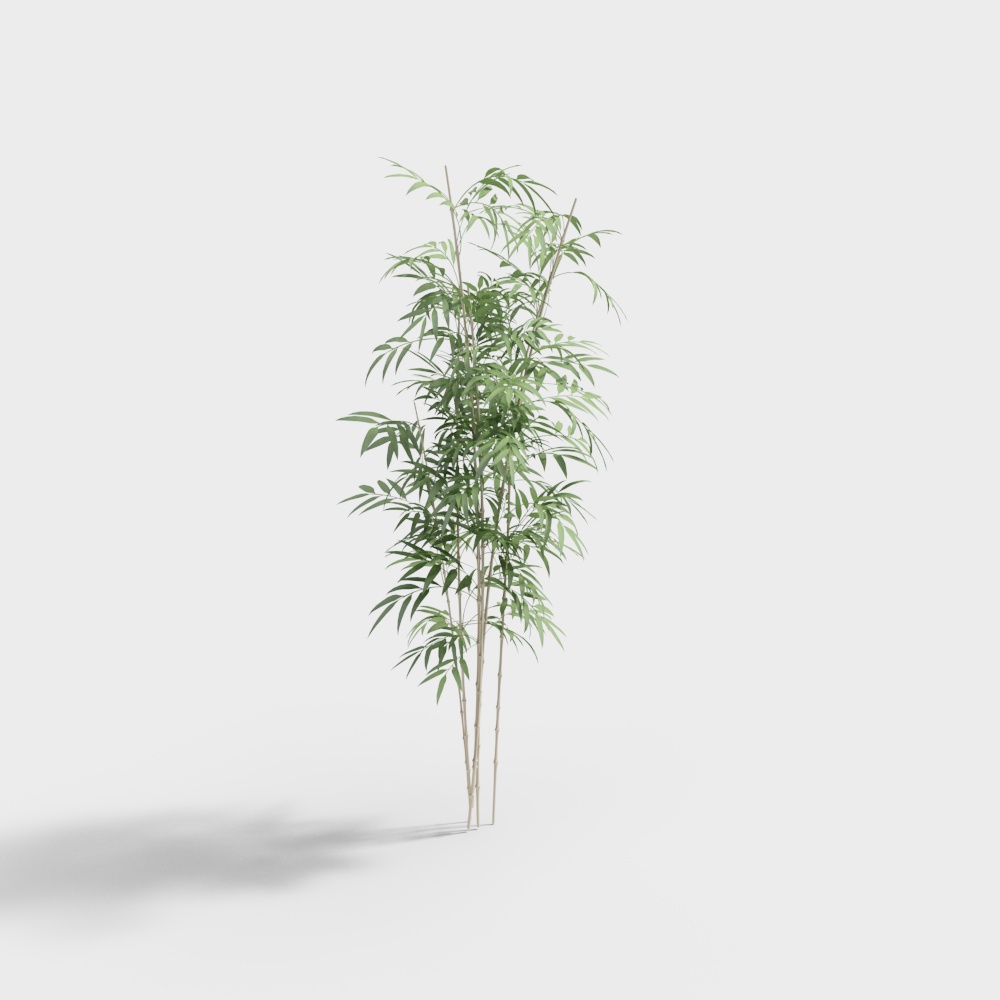 バンブーコンビネーション