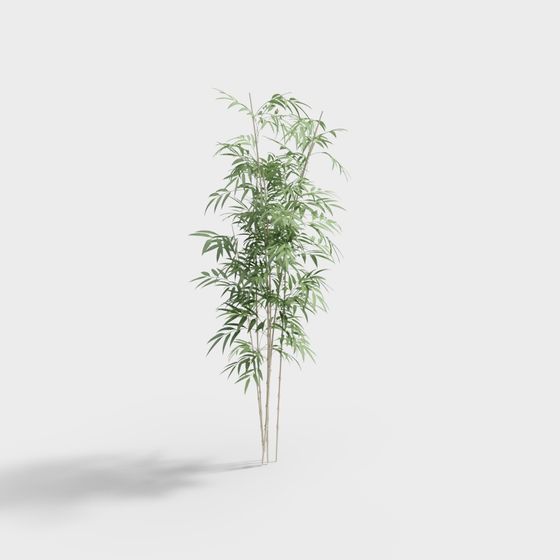 Serene Bamboo Grove 3D Model