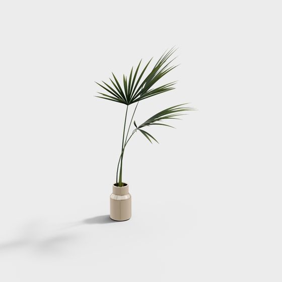 Indoor Plant 3D Model for Designers and Developers