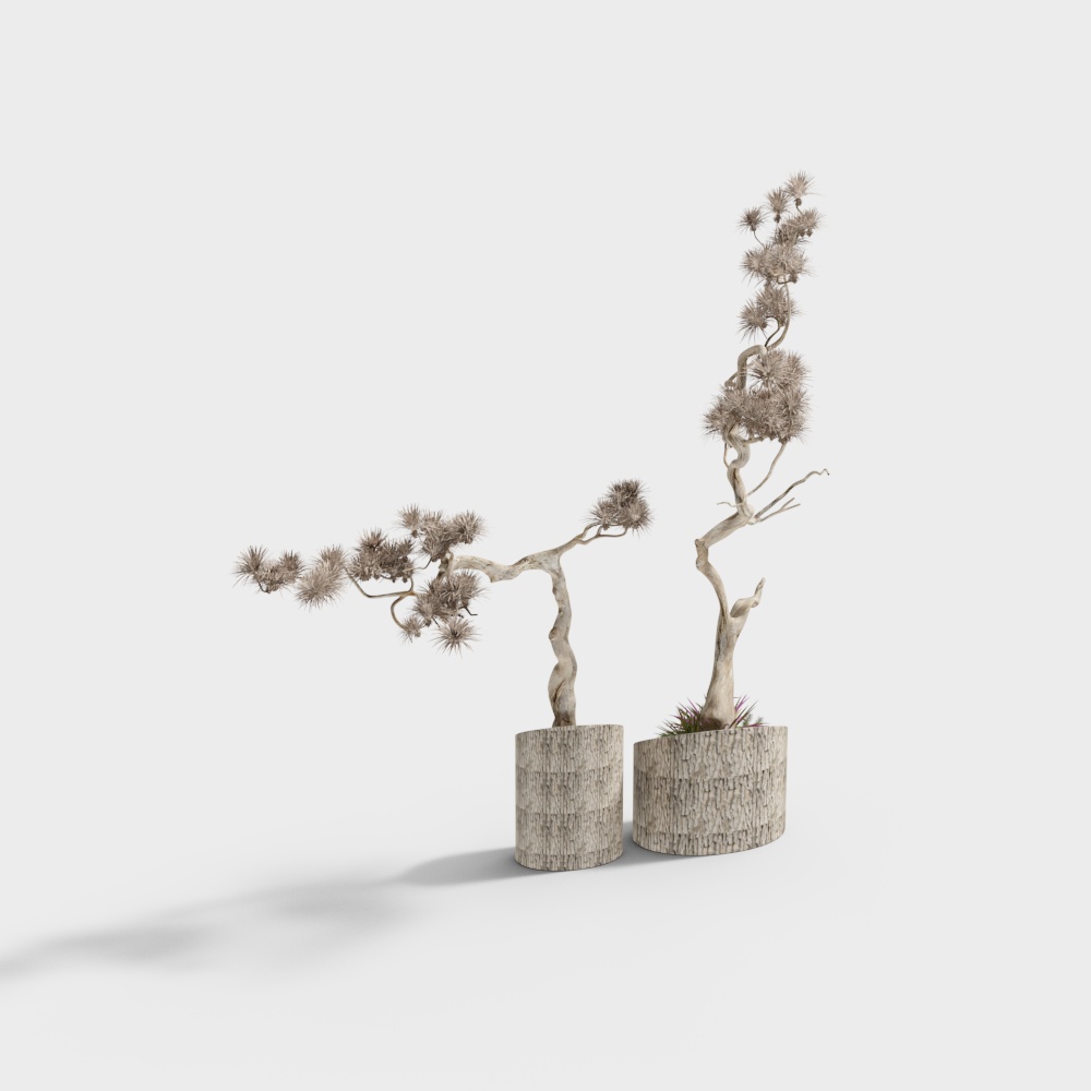 Beautiful Weathered Wood Bonsai 3D Model
