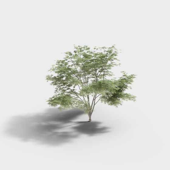 Vibrant Low-Poly 3D Tree Model for Creative Projects