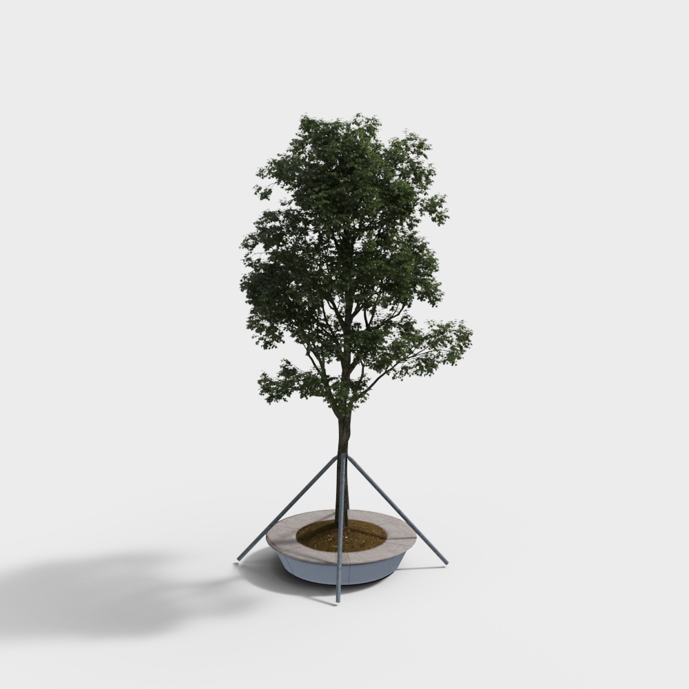 Modern tree planting