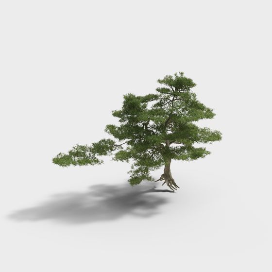 Realistic Pine Tree 3D model for Creative Projects