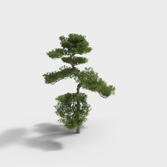 Zen Pine Tree 3D model for Creative Projects