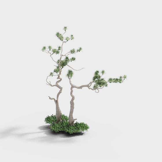 Ancient Storytelling Pine Tree 3D model