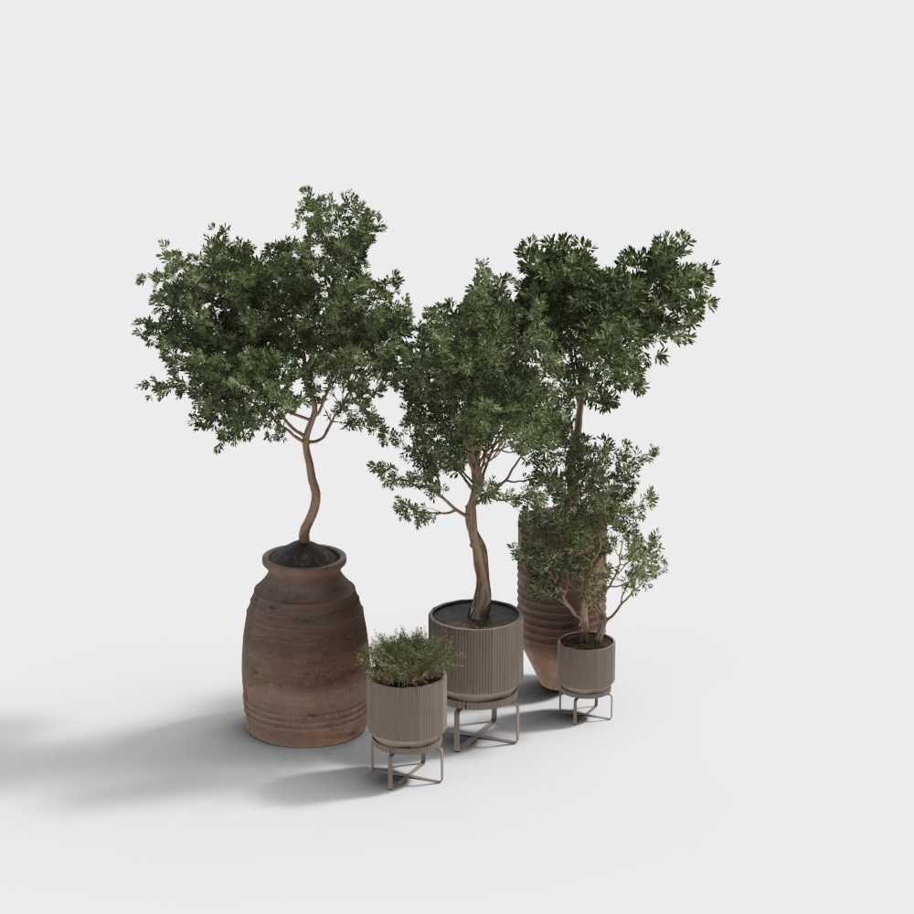 พืชในกระถางทันสมัย