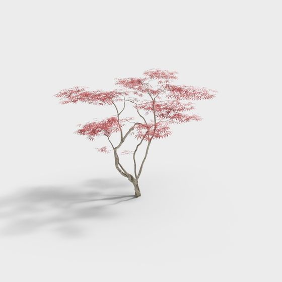 Elegant Red Maple Tree 3D model for Creative Projects