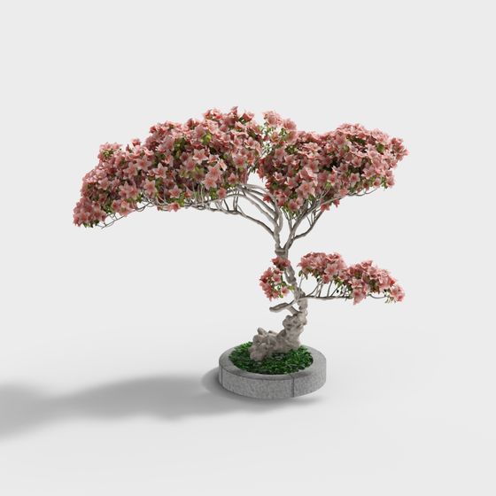 Low Poly Cherry Blossom Tree 3D model for Creative Projects