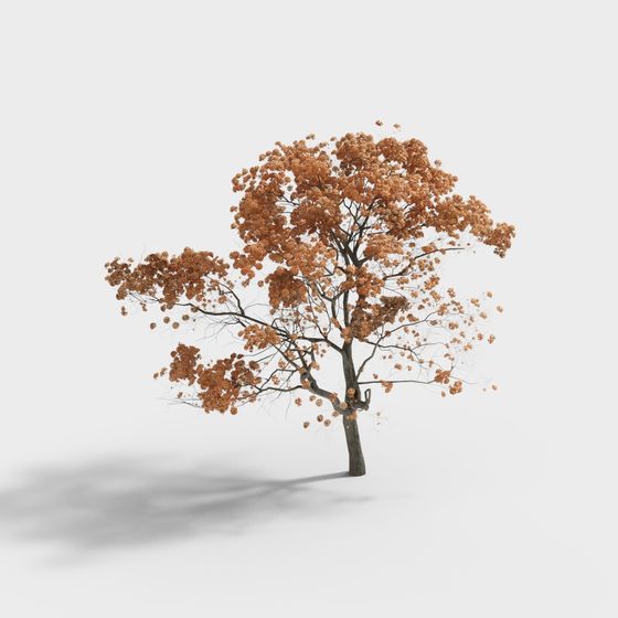Realistic 3D Oak Tree Model for Autumn Scenes