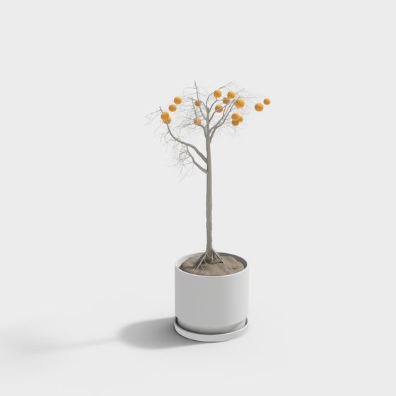 橙樹盆栽綠植 348455-2