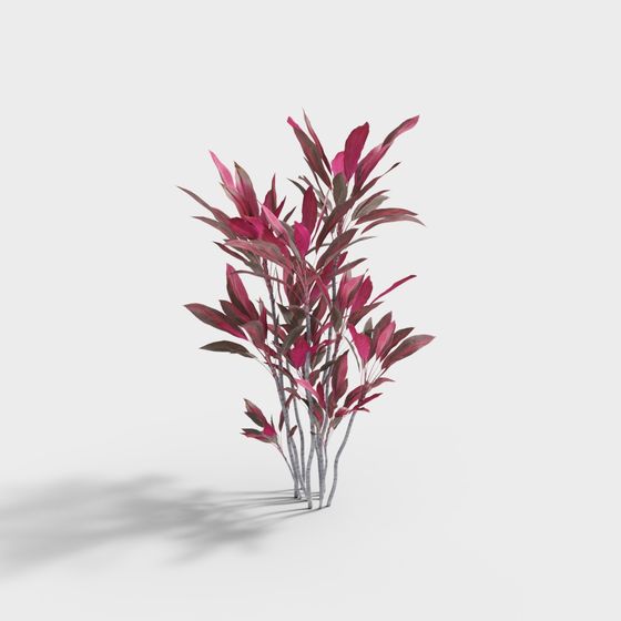 Tropical Flair 3D Model Plant