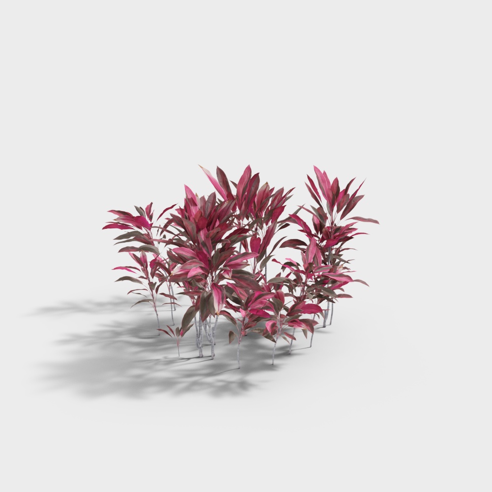 Plante extérieure-5 vase rouge