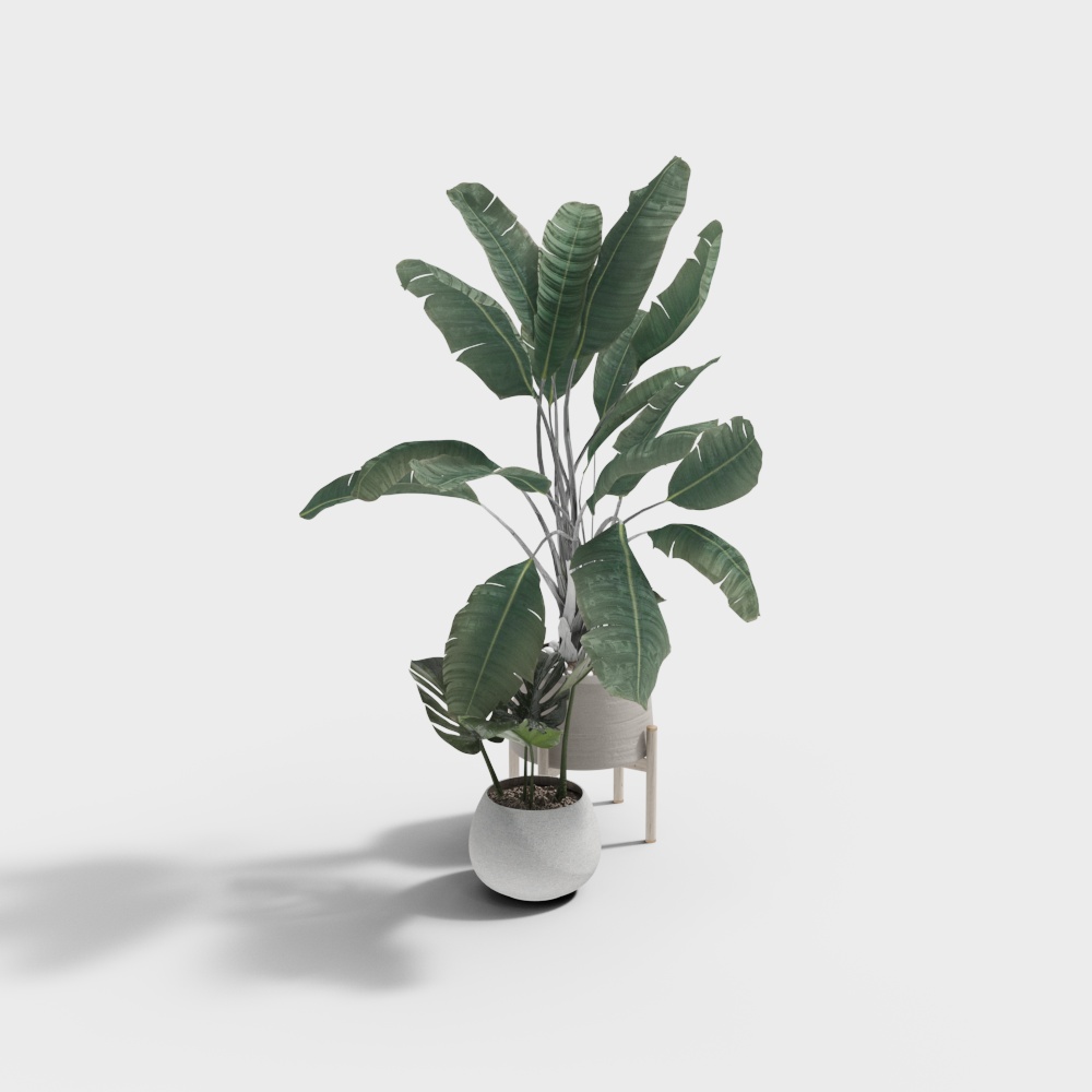 Cây bụi hàng rào xanh hiện đại - Cây bụi thẳng đứng