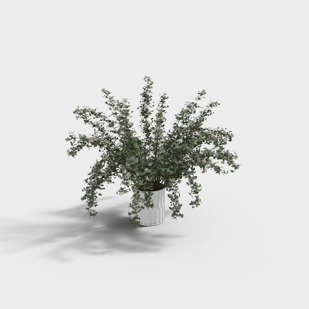 Vibrant Ivy Plant 3D model