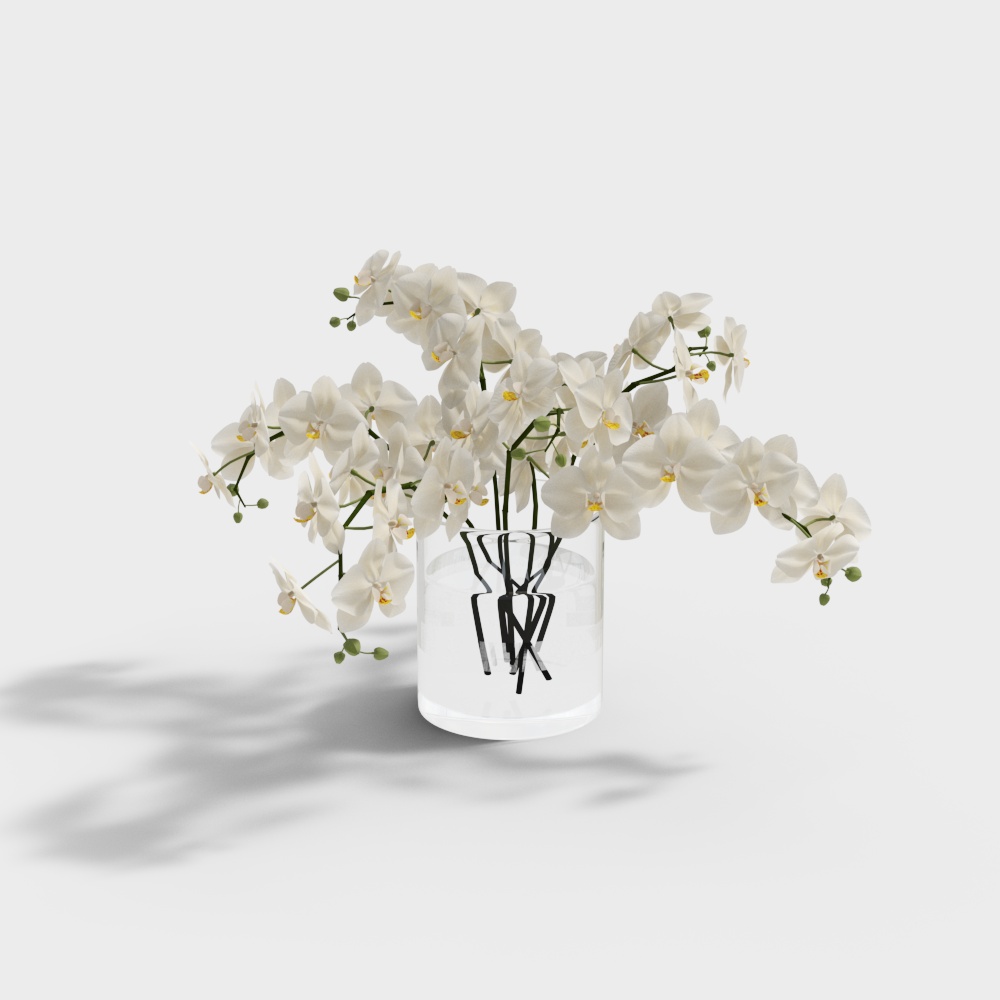 Modern Dental Clinic Clinic - Decorative Plants white plants glass vase