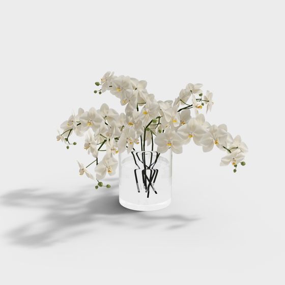 Phalaenopsis Orchid Bouquet 3D model