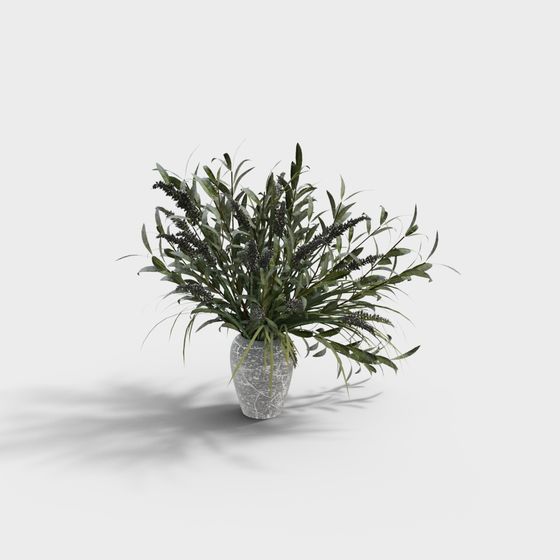 Urban Green Plant 3D Model for Creative Design