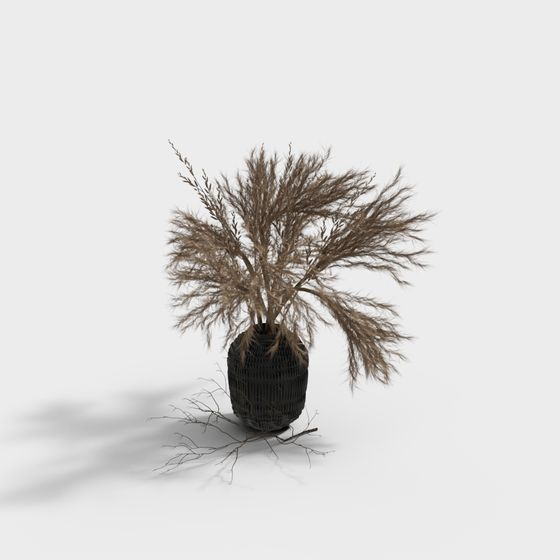Elegant Dry Branch Bonsai 3D model for Creative Projects