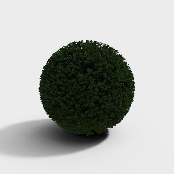 Lifelike Dome Shrub 3D model
